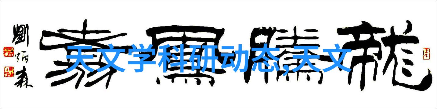 第三步地面材料选型与铺设的完美攻略