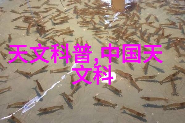 高速公路夜行风的守望者隧道风机的秘密使命