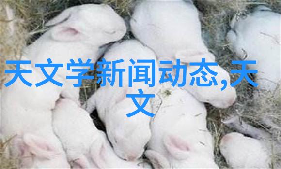 重生之铁血战将英雄的归来战场上的新篇章