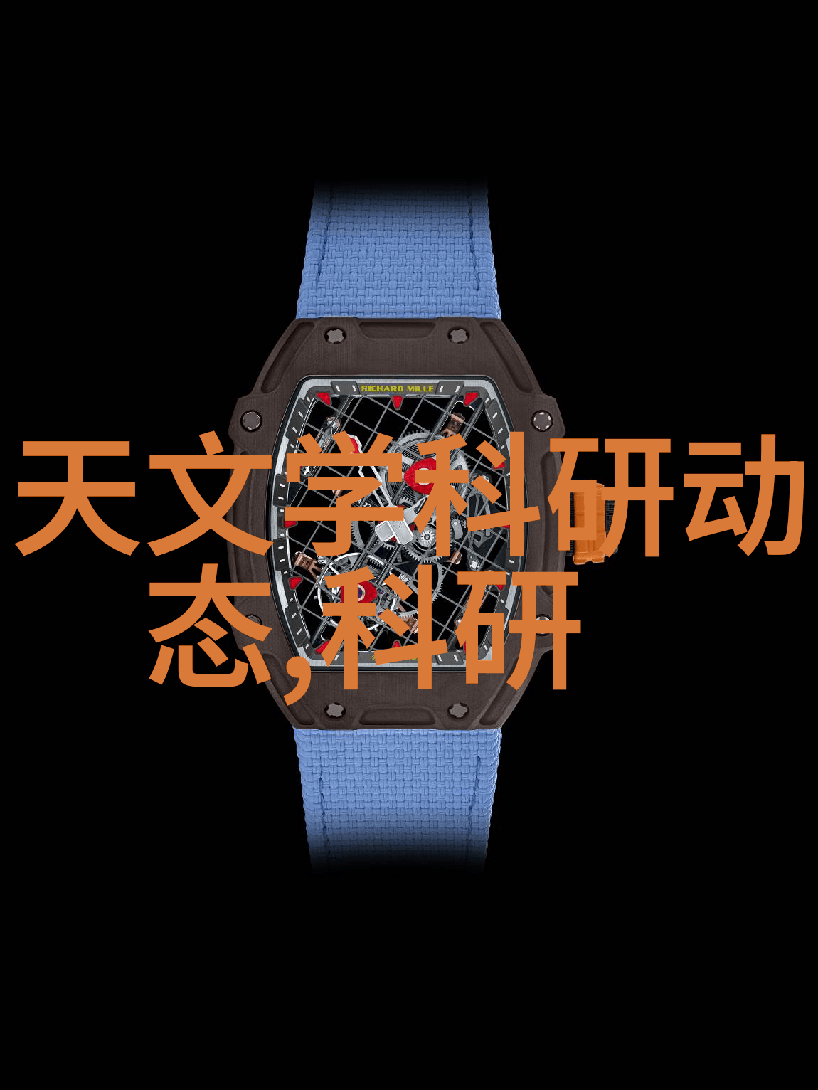 钢筋森林里的泥土歌