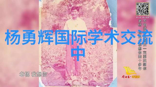 台积电董事长在推动公司国际化发展中扮演了什么角色