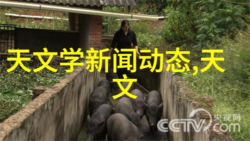 汽车零部件分为哪四大类 - 汽车配件分类解析