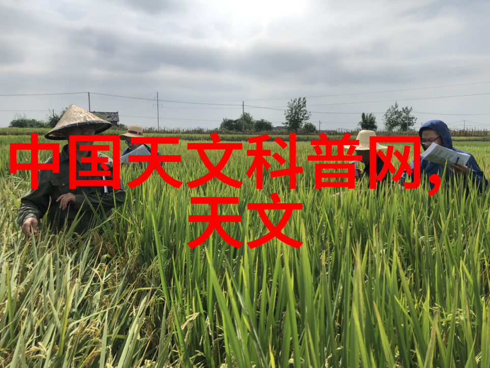 killworms杀害害蟲服務費用與普通殺蟲劑相比有什么区别