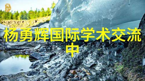 金融分析-深度解析中国人保股价低迷背后的市场因素