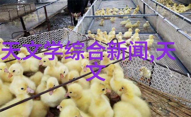 全方位App下载体验免费获取安卓版API