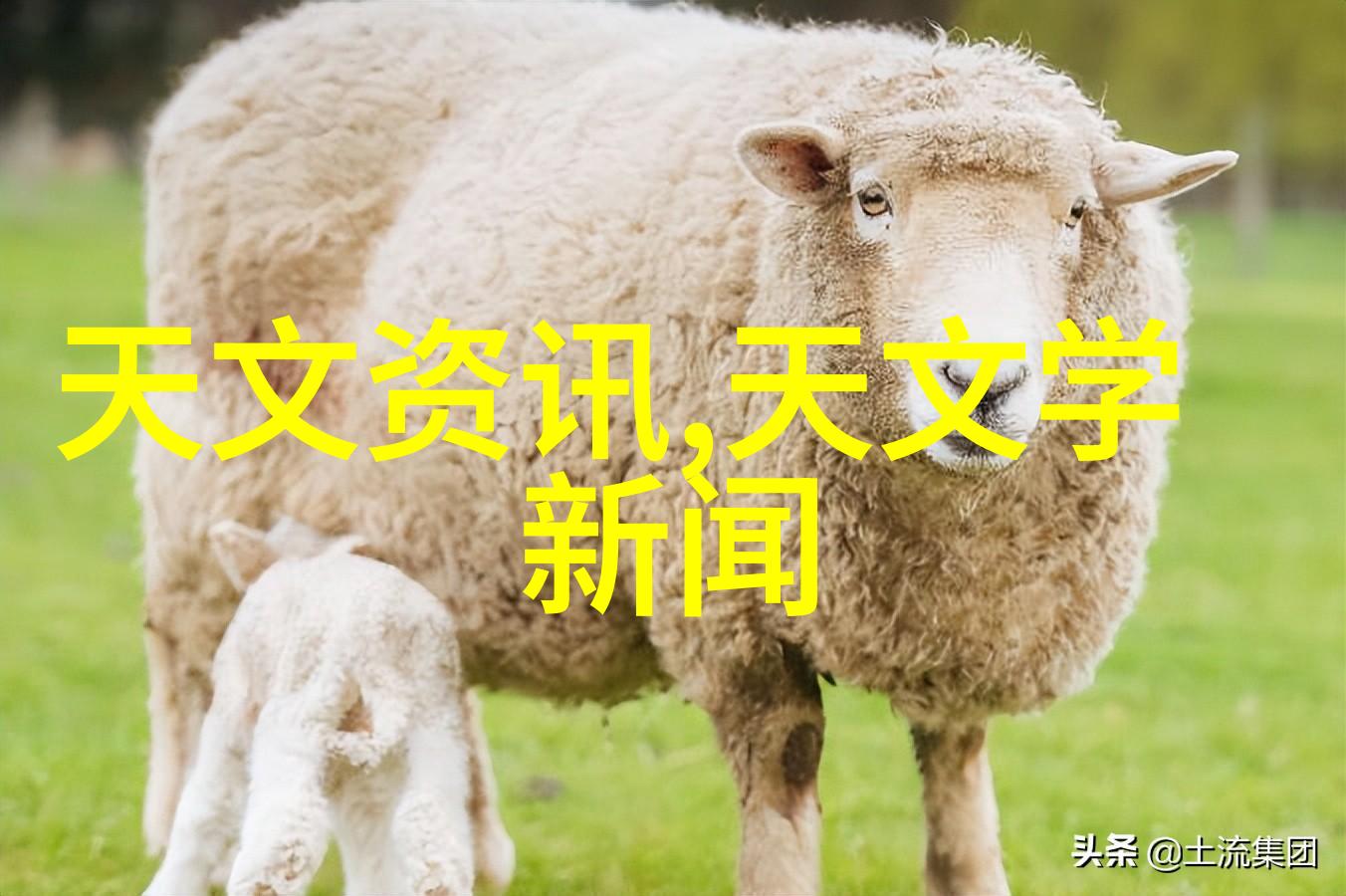 化工输送设备背后的秘密与未知的威胁
