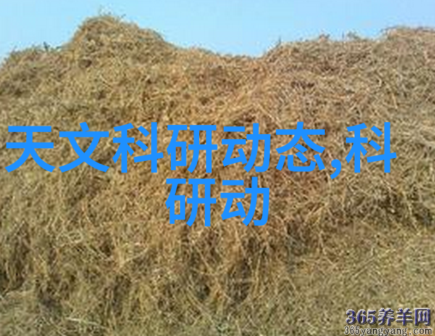 化工设备机械基础第四版深入剖析现代化工生产的关键技术与实践