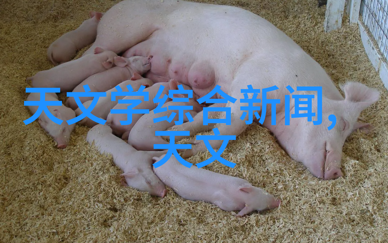 水利工程与管理类专业概览从设计到维护的全方位知识体系