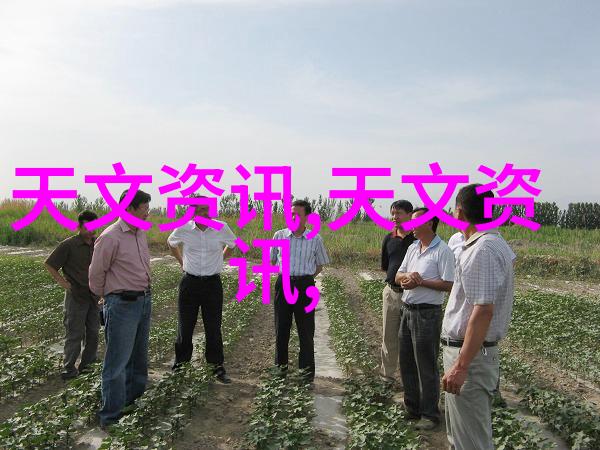 如何选择合适的色彩搭配来提升室内装修设计效果图