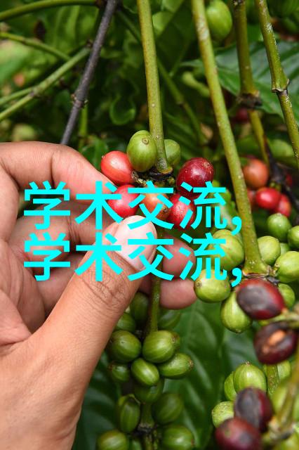 化工梦想硝烟与彩虹的交响曲
