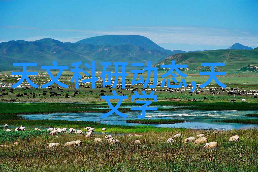 股市何去何从市场预测专家们的分歧再次浮出水面