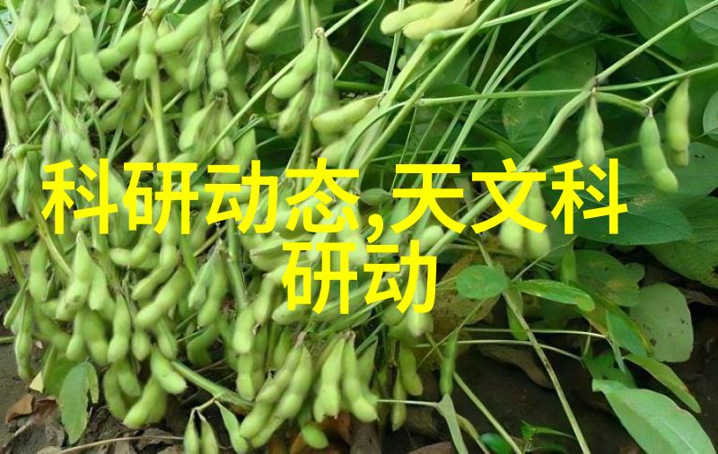 果树新品种-引领未来园艺探索最新的果树创新