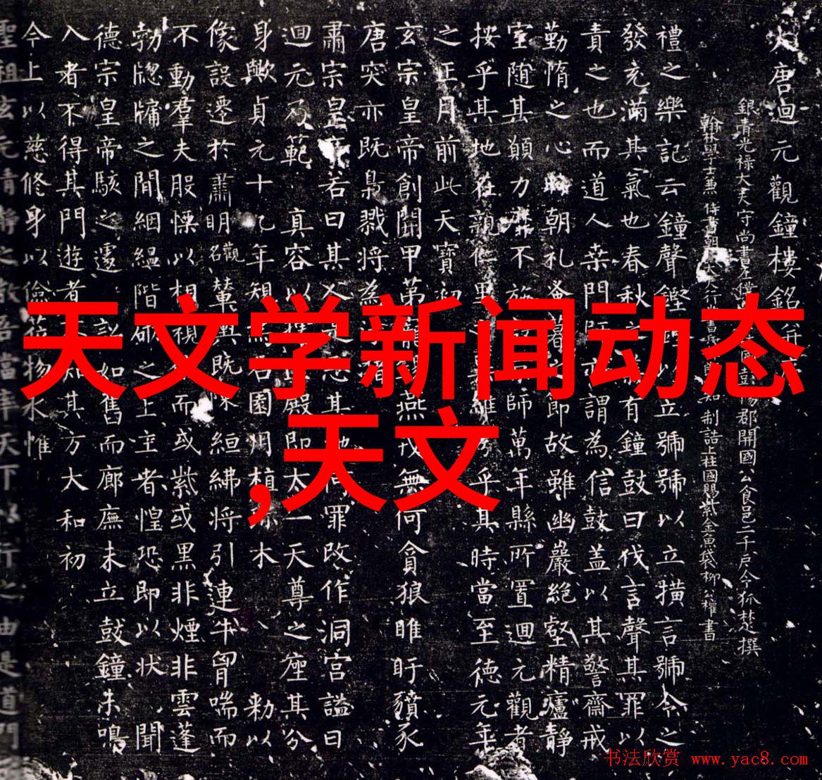 跳蚤市场的秘密花园里藏着什么奇迹
