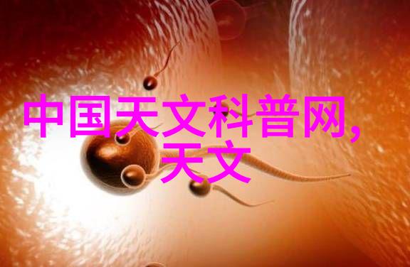 海川绘卷探索潮汐间的生命诗篇