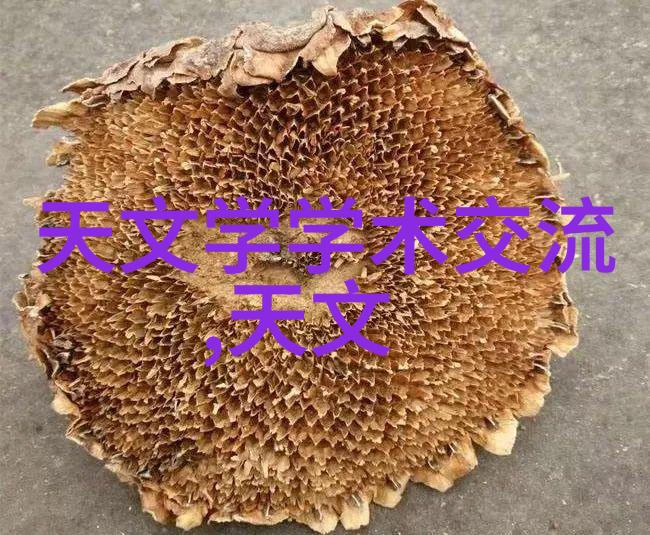 中国设备网数字化转型的智能引擎