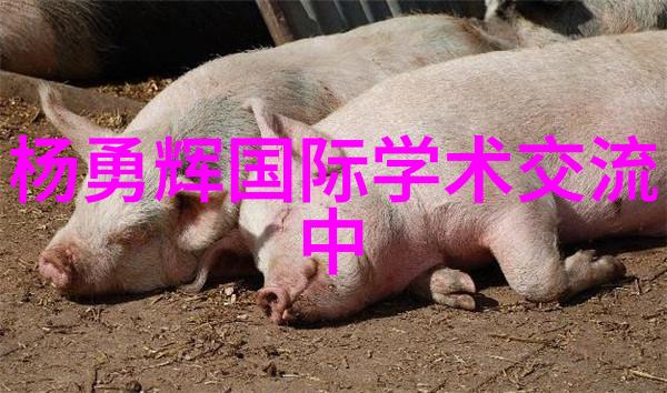 装修工人自己接单的app我是老板了这事儿你得信