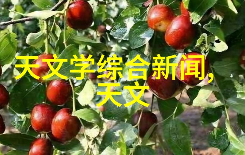 全民检测中央号令推进全国核酸筛查工作