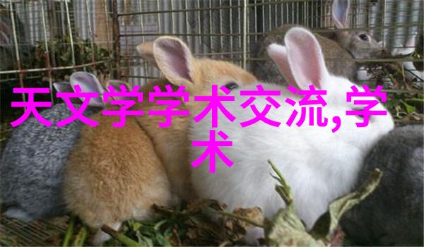 广汽丰田原厂配件查询指南精准选购保养必备