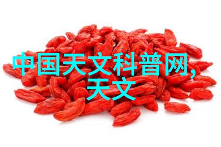 如何评价上海应用技术大学在国际交流中的努力和成果