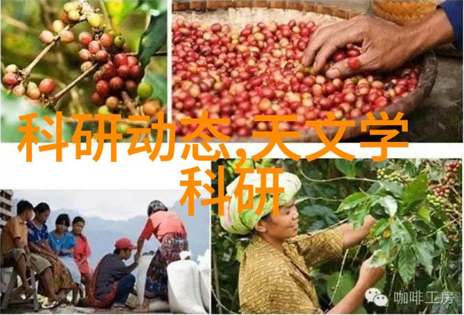 我和燃气蒸汽发生器的故事老李的暖心小发明如何自己动手做燃气蒸汽发生器