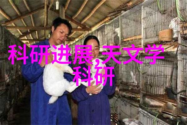 环保技术-塑料分离器垃圾分类的智慧伙伴