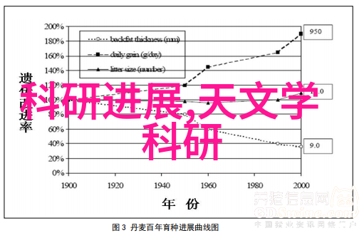 金属丝网波纹规整填料我的创意DIY装饰物选择