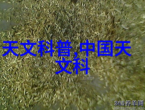 金融市场深度解析第一财经探究股市金价双重影响力