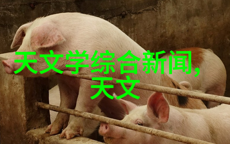 老公的温暖拥抱揭秘私下亲昵背后的爱意