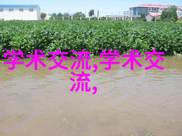 空气中的宝贵资源探索制氮机的技术与应用
