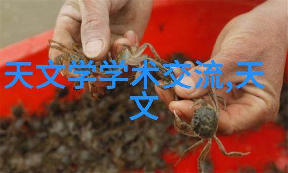 沥青混凝土高性能道路基层材料
