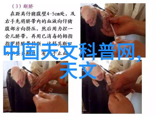 可持续发展与智能制造产品设计探讨