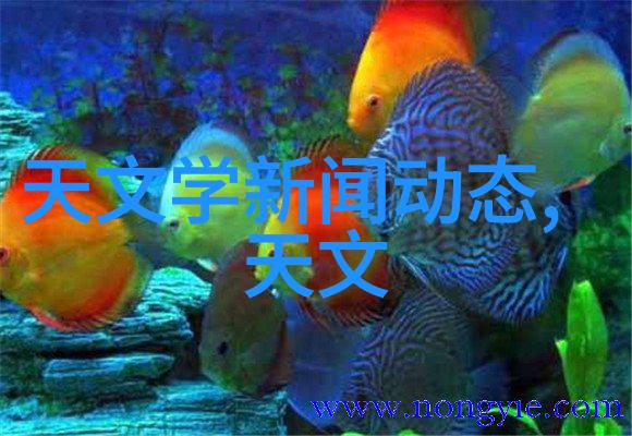 化学实验室中的神秘反应釜解锁分子的秘密