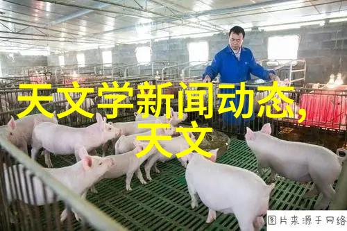 不锈钢反应釜的卓越表现超凡性能之探究