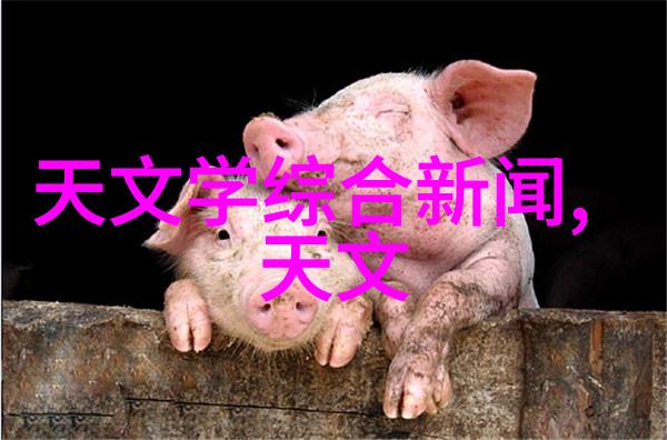 干燥技术与设备的现代发展及其在工业应用中的创新进展