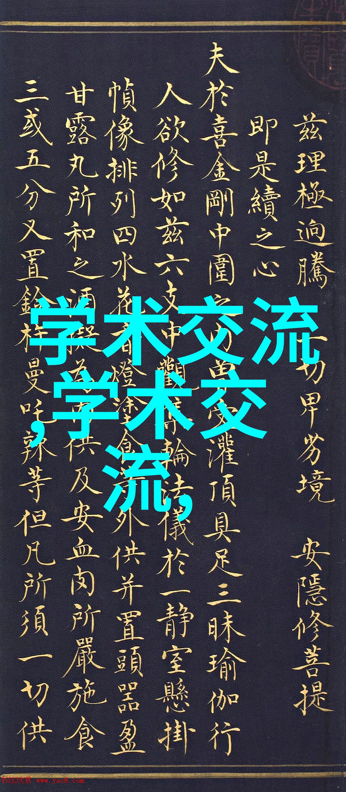 午夜伦理我在黑暗中寻找光明的故事