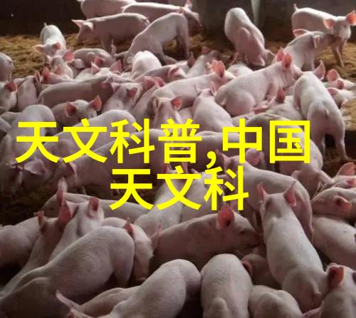附近不锈钢加工厂我家门口的那些忙碌的人们和他们的金属世界