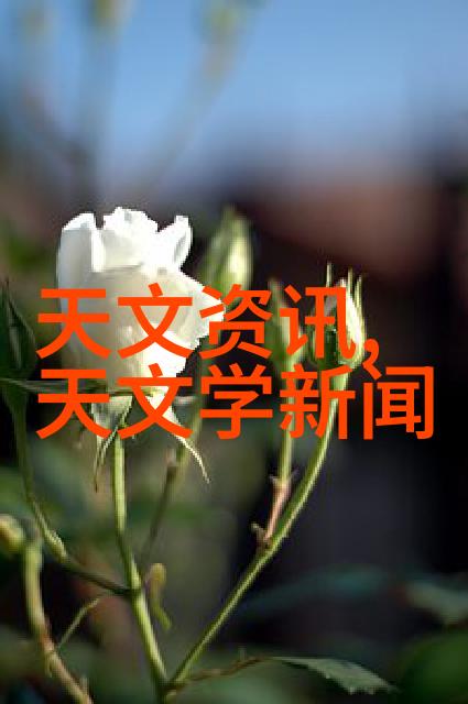 芯片制造国家排名-全球领跑者谁在领航半导体未来