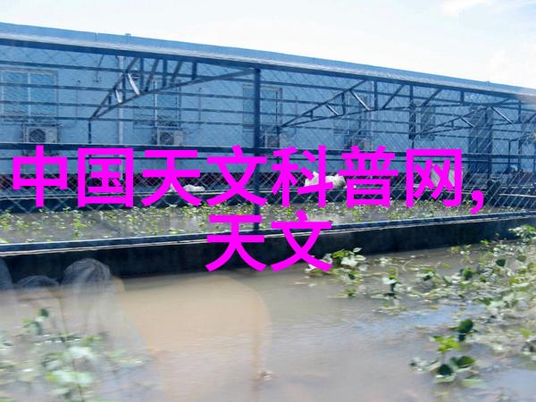 智能化升级未来输送机设备的发展趋势