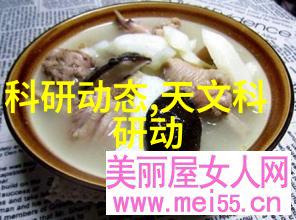 了解管式离心机内部构造通过详尽的结构图学习