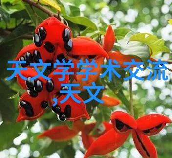 不锈钢艺术品图片发现生活的美