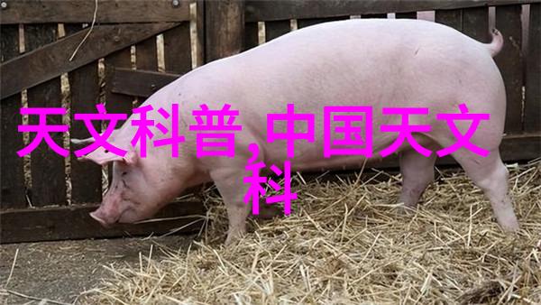 工业燃烧设备的选择与应用新趋势