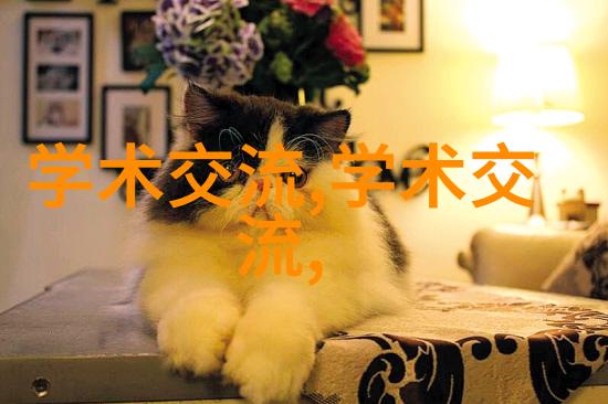现代厨房装修新趋势智能化橱柜的魅力与实用性