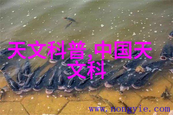 药品制造-丸剂机械生产线优化与维护技巧