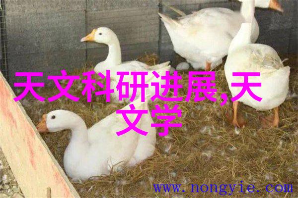 保障饮用水安全北京市水质检测机构扮演着什么角色