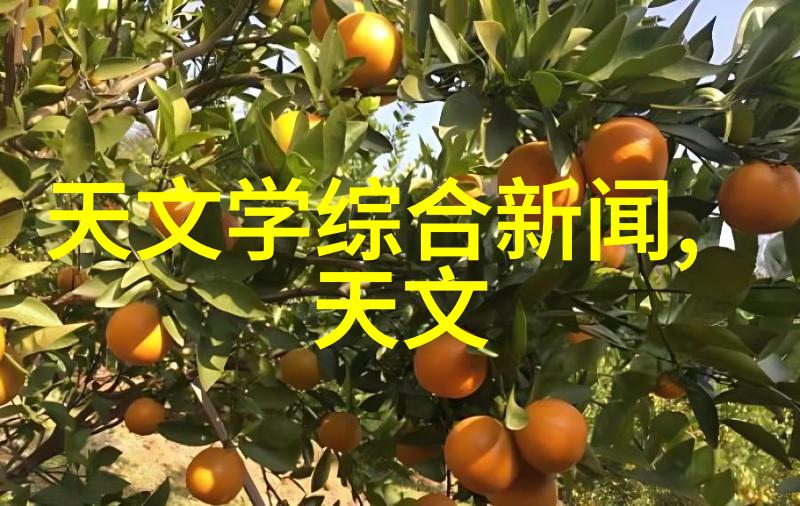 机制剖析旋转器与静液层的协同作用
