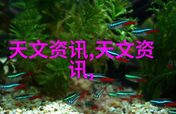 三友化工股票我的智囊团揭秘这支让富豪捡漏的黑马股