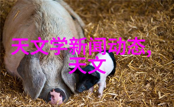 自我总结报告-回顾与展望我的成长之路