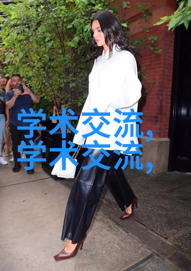 输送机械设备之谜如何确保物料的安全效率与可靠性