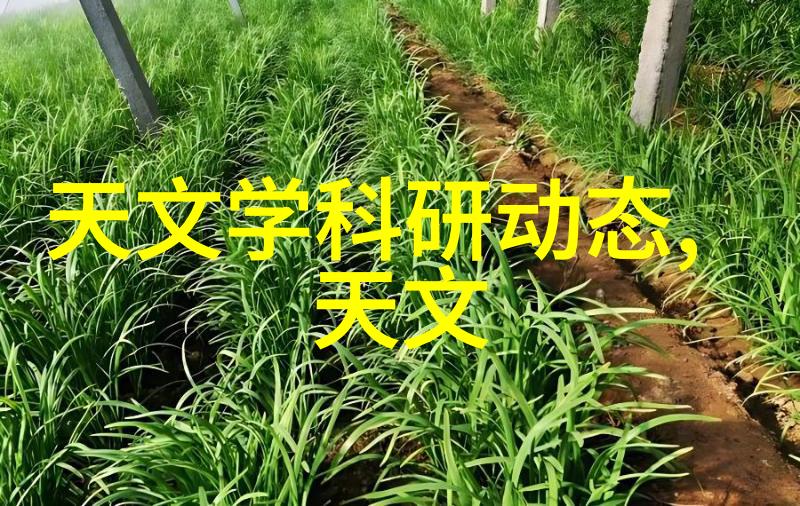 华为发布全闪存新品速度与稳定性并重
