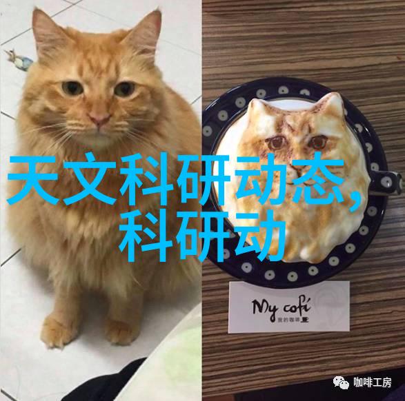 测量水分的仪器我用过的那些能让你不再担心干渴的好帮手
